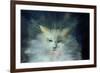 Monty Fluffball, 2015-Vincent Alexander Booth-Framed Giclee Print