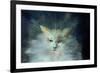 Monty Fluffball, 2015-Vincent Alexander Booth-Framed Giclee Print