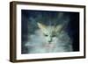 Monty Fluffball, 2015-Vincent Alexander Booth-Framed Giclee Print