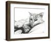 Monty, Napping, 2016-Vincent Alexander Booth-Framed Giclee Print