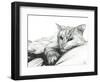 Monty, Napping, 2016-Vincent Alexander Booth-Framed Giclee Print