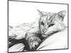 Monty, Napping, 2016-Vincent Alexander Booth-Mounted Giclee Print
