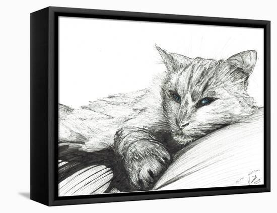 Monty, Napping, 2016-Vincent Alexander Booth-Framed Stretched Canvas