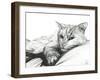 Monty, Napping, 2016-Vincent Alexander Booth-Framed Giclee Print