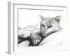 Monty, Napping, 2016-Vincent Alexander Booth-Framed Giclee Print