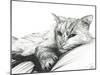 Monty, Napping, 2016-Vincent Alexander Booth-Mounted Giclee Print
