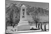 Monument in Cemetery-Ansel Adams-Mounted Art Print