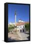 Monument in Mierove Square and Trencin Castle, Trencin, Trencin Region, Slovakia, Europe-Ian Trower-Framed Stretched Canvas