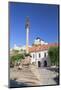 Monument in Mierove Square and Trencin Castle, Trencin, Trencin Region, Slovakia, Europe-Ian Trower-Mounted Photographic Print