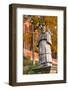 Monument Sandomierz Abbot-Stavrida-Framed Photographic Print