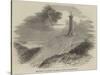 Monument to Admiral Sir Thomas Hardy, on Blagdon Hill-null-Stretched Canvas