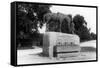 Monument to Horses That Died in the Boer War-null-Framed Stretched Canvas