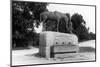 Monument to Horses That Died in the Boer War-null-Mounted Photographic Print