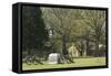 Monument to Illinois Soldiers in Front of the Visitor Center, Shiloh, Tennessee-null-Framed Stretched Canvas