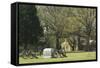 Monument to Illinois Soldiers in Front of the Visitor Center, Shiloh, Tennessee-null-Framed Stretched Canvas