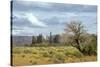 Monument Valley 09-Gordon Semmens-Stretched Canvas