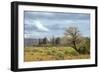 Monument Valley 09-Gordon Semmens-Framed Photographic Print