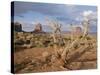 Monument Valley, Arizona, USA-Hans Peter Merten-Stretched Canvas