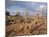 Monument Valley, Arizona, USA-Hans Peter Merten-Mounted Photographic Print