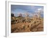 Monument Valley, Arizona, USA-Hans Peter Merten-Framed Photographic Print