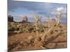 Monument Valley, Arizona, USA-Hans Peter Merten-Mounted Photographic Print