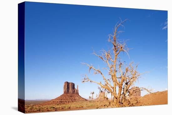 Monument Valley, Arizona-Paul Souders-Stretched Canvas