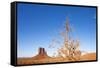 Monument Valley, Arizona-Paul Souders-Framed Stretched Canvas