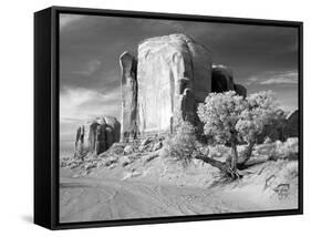 Monument Valley, Arizona-Carol Highsmith-Framed Stretched Canvas