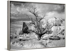 Monument Valley, Arizona-Carol Highsmith-Framed Photo