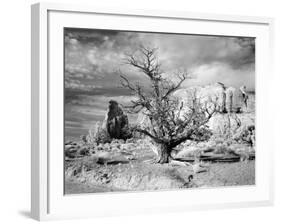 Monument Valley, Arizona-Carol Highsmith-Framed Photo