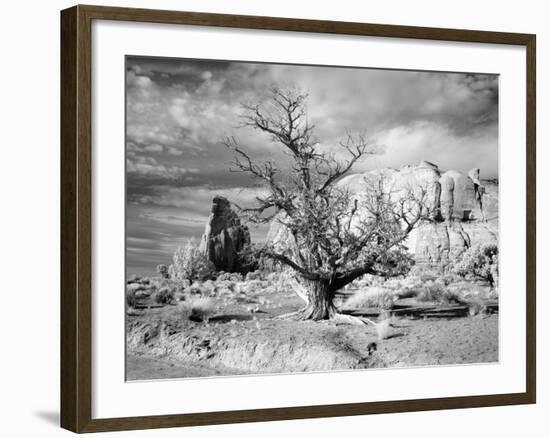 Monument Valley, Arizona-Carol Highsmith-Framed Photo