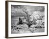 Monument Valley, Arizona-Carol Highsmith-Framed Photo