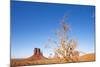 Monument Valley, Arizona-Paul Souders-Mounted Photographic Print
