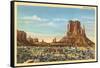 Monument Valley Mitten Butte-null-Framed Stretched Canvas