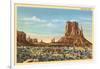 Monument Valley Mitten Butte-null-Framed Art Print