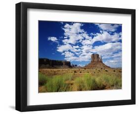 Monument Valley Navajo Tribal Park-James Randklev-Framed Photographic Print