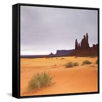 Monument Valley Panorama 1 2 of 3-Moises Levy-Framed Stretched Canvas