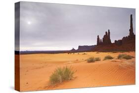 Monument Valley Panorama 1-Moises Levy-Stretched Canvas