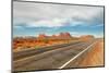 Monument Valley Route-snoofek-Mounted Photographic Print