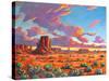 Monument Valley Sunset-Patty Baker-Stretched Canvas