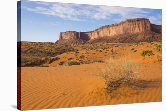 Monument Valley, View from Wildcat Trail, Arizona, United States of America, North America-Gary-Stretched Canvas