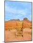 Monument Valley XVIII-Bethany Young-Mounted Photographic Print