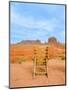 Monument Valley XVIII-Bethany Young-Mounted Photographic Print