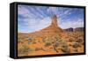 Monument Valley-Gary-Framed Stretched Canvas