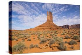 Monument Valley-Gary-Stretched Canvas