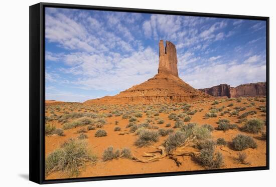 Monument Valley-Gary-Framed Stretched Canvas