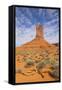 Monument Valley-Gary-Framed Stretched Canvas