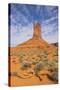 Monument Valley-Gary-Stretched Canvas