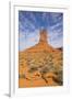 Monument Valley-Gary-Framed Photographic Print