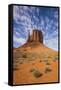 Monument Valley-Gary-Framed Stretched Canvas